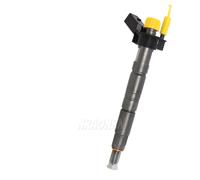 0445117030 0986435425 1353 7823461 1353 7823462 Injektor Einspritzdüse BMW