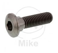 1 Bolzen Bremsscheibe M8X1.25 30MM Titan Kawasaki 1100 GPZ 1983-1984