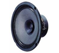 1 Paar Visaton BG 20 Breitbandlautsprecher 8 Ohm 70 Watt mit Hochtonkegel 070242