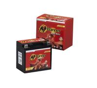 BANNER 023506210101 Batterie