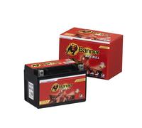 BANNER 023510210101 Batterie