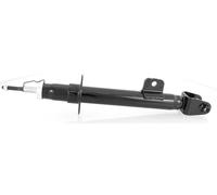 Gema Herrerías Stoßdämpfer GH-339308H – Gasdruck vorne rechts für Chrysler 300C (06/2004-12/2010)