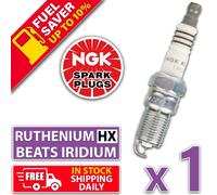 1 x Ruthenium für Holden 5.7L LS1 V8 Executive One Tonner S SV8 Berlina...
