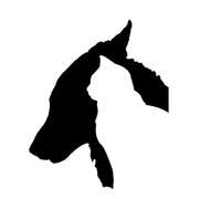 10 Stück Hund und Katze selbstklebend reflektierende Tiere Aufkleber Wasserdicht