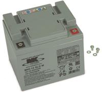 12 V 45 Ah Elektromobil-Batterie - Ersatzakku