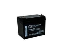 Akku Satz 2 St. 12V 77Ah Blei AGM Batterien für Vermeiren Carpo 4 (15 km/h)