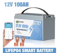 12V 100Ah 135Ah 24V 100Ah Lithium Batterie LiFePO4 Akku Bluetooth BMS Wohnmobil