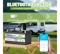 12V 100Ah 135Ah 24V 100Ah Lithium Batterie LiFePO4 Akku Bluetooth BMS Wohnmobil