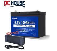 12V 100Ah 200AH LiFePO4 Batterie mit 10A 20A Batterie Ladegeräte für Wohnmobile