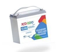 Redodo 12V 100Ah Mini LiFePO4 Batterie Lithium Solarbatterie for Solar RV Boot