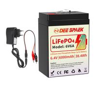 12V 24V 36/48V 100Ah 200Ah 300Ah LiFePO4 Lithium Batterie BMS Bluetooth Solar RV