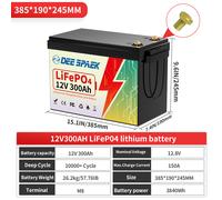 12V 24V 36/48V 100Ah 200Ah 300Ah LiFePO4 Lithium Batterie BMS Bluetooth Solar RV