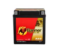 12V 30Ah 385A Banner Bike Bull GEL 53001 Motorradbatterie GT30-3