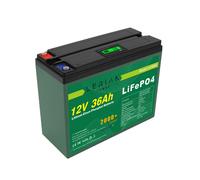 12V Lithium-Ionen Akku / 12V LiFePO4 Akku Varianten fÃ¼r Boot...