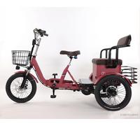 18 Zoll Elektro Dreirad Klappbar E Trike 25km/h Differential 250kg Lastenrad 48V