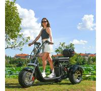 18 Zoll Fat Citycoco Elektroroller 2000W Motor 45KM/H Maximale Last 250KG COC