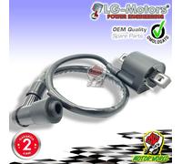 1869893 Spule Hoch Spannung Husaberg FS C 650 2005 2006 2007 2008