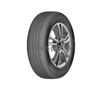 DELINTE DS-2 165/65R14 Zoll TL 79 T Sommer Reifen 1656514 Sommerreifen