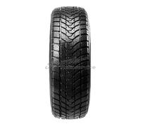 Delinte Winter WD1 165/70 R14 81 T