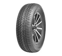 APlus A701 205/55 R16 91H PKW Winterreifen Reifen 2AP2160H1
