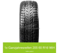 1x 205/60 R16 96H Allwetterreifen Roadstone N-Priz 4S 3PMSF XL | 46279