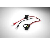 CTEK Batterieanschlusskabel Indikator Eyelet M8, Ladezustandsanzeige mit M8 Ringöse 8,4mm, 55cm