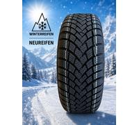Barum Polaris 6 205/55R16 91 H