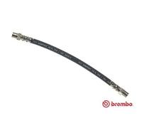 BREMBO Bremsschlauch t85038 für DAF Volvo VW Mercedes