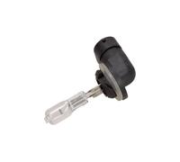 MAXGEAR Glühlampe, Hauptscheinwerfer 78-0137
