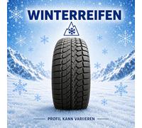 Goodride SW608 225/55R17 101 V XL