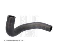 Kühlerschlauch BLUE PRINT ADBP930011 für HYUNDAI KIA, rechts unten
