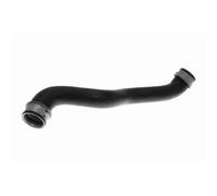 VAICO Kühlerschlauch V30-3460 Q+ Erstausrüsterqualität für MERCEDES-BENZ oben