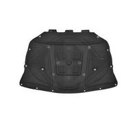 DIEDERICHS MOTORHAUBE Motorraumdämmung for BMW 5 Touring F11 5 F10 F18