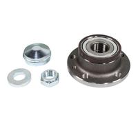 METZGER Radlagersatz WM 2301 für FIAT OPEL GENERAL MOTORS, Hinterachse