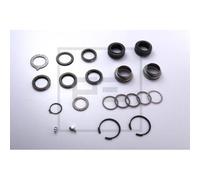 1x Reparatursatz, Bremsnockenwelle PE Automotive 036.100-00A passend für MAN