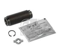 1x Schraube, Bremssattel FEBI BILSTEIN 173090 passend für DAF RENAULT TRUCKS