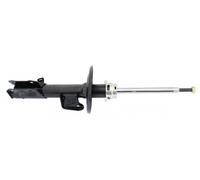 1x Stoßdämpfer MAPCO 40564 für HONDA JAZZ 2 DSI GD5 GE2 iDSi GD1