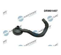 DR.MOTOR AUTOMOTIVE Ventil,