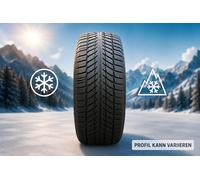Goodride SW608 205/55R16 91 H