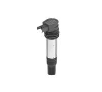 BorgWarner (BERU) Zündspule ZSE229