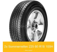 2-er Satz 225/60 R18 100H Dunlop Grandtrek ST 30 Sommerreifen | 94277