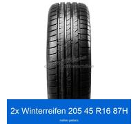 2-er Satz Winterreifen Fortuna Gowin UHP 2 3PMSF XL 205/45 R16 87H | 50602