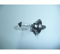 Halogenlampe M-TECH H7 PX26d 55W 12V