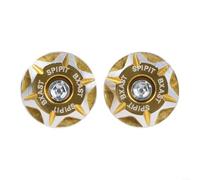 2 Stück Motorrad-Kennzeichenabdeckungsgehäuse, 6 mm Löcher, eloxierte Aluminiumlegierung, Befestigung für Motorradanhänger, Montagezubehör, Rot, Schwarz, Gold, Silber, Orange, Lila, Optionen (Gold)