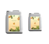 20 Liter Scheibenreiniger mit Sommerduft Orange 2 x 10L PREMIUM FERTIG