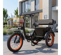 20 Zoll 48V Elektro Dreirad Lifestyle Cargo Trike Erwachsene 25km/h für Senioren