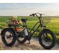 20-Zoll Elektro Dreirad 2 Sitzer 48V 12Ah Compliance 25km/h mit Rücksitz E-Trike