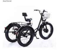 20 Zoll Elektro Dreirad 500W Motor 150kg Tragkraft 48V E-Trike Erwachsene 25km/h