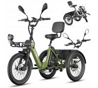 20 Zoll Elektro Dreirad E-Bike Senioren 250W 25AH Lastendreirad E-Trike 25km/h