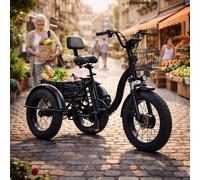 20-Zoll Elektro Dreirad Klappbar 500W48V Senioren Fahrrad 25km/h Dreirad Einkauf